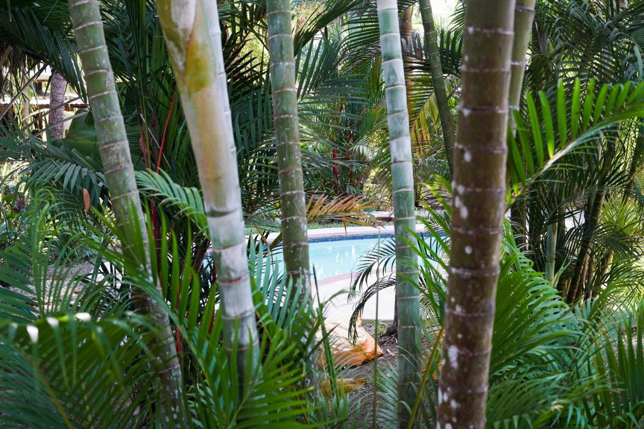 Hotel Luz De Luna Playa Santa Teresa  외부 사진