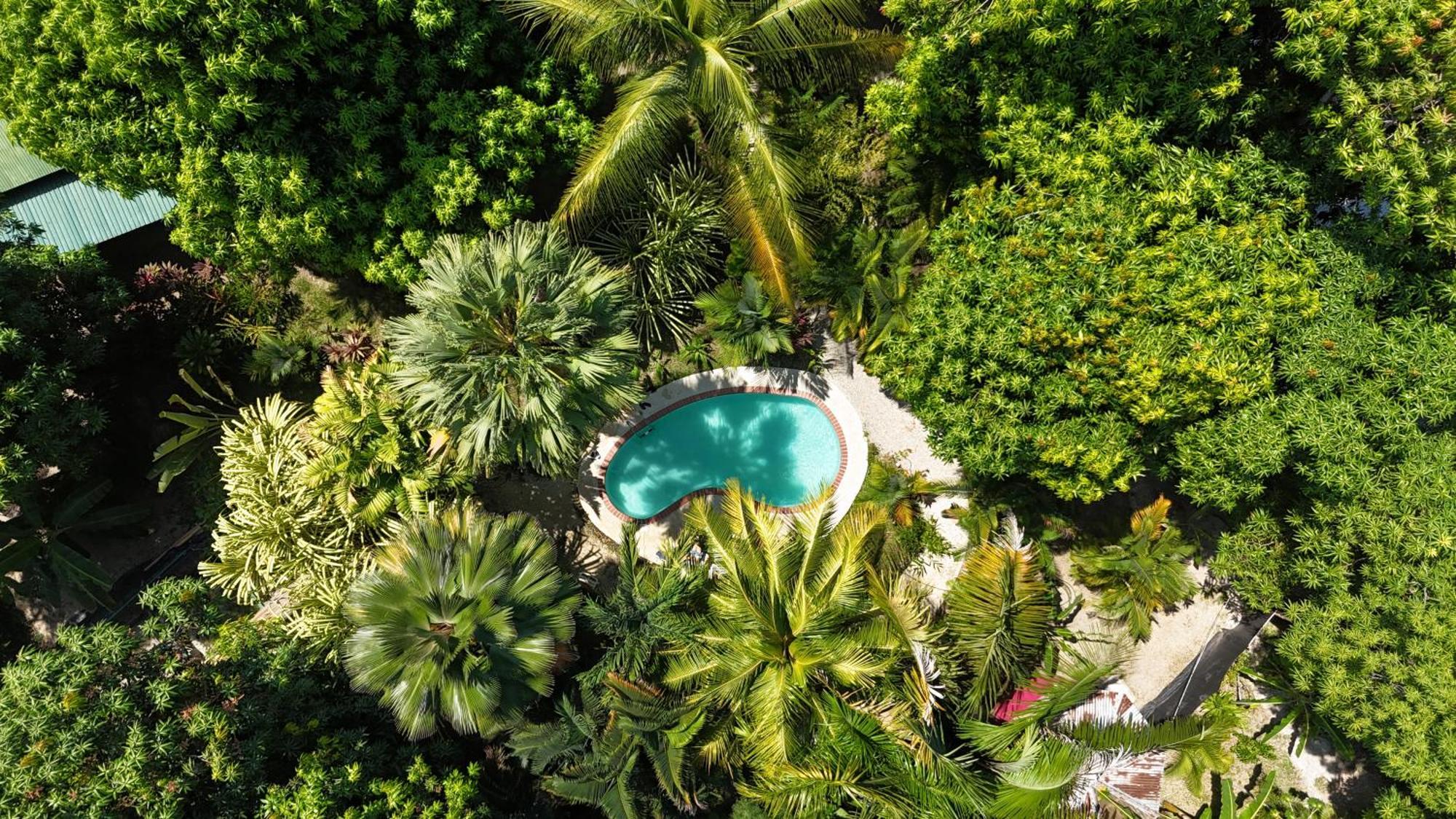 Hotel Luz De Luna Playa Santa Teresa  외부 사진