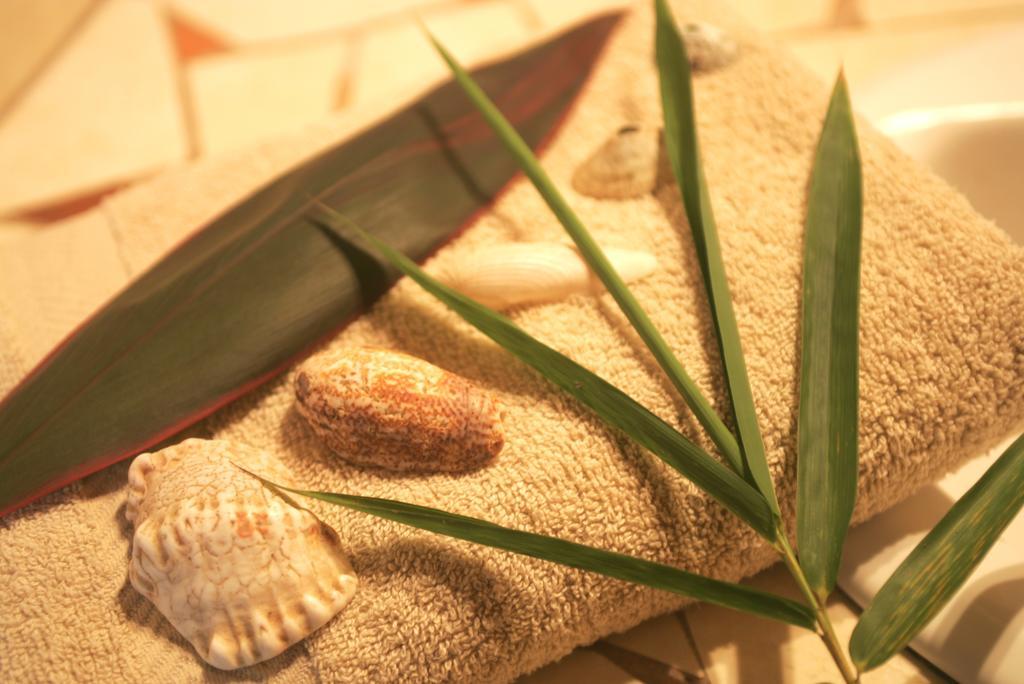 Hotel Luz De Luna Playa Santa Teresa  외부 사진