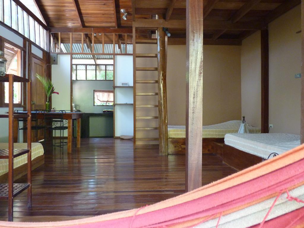 Hotel Luz De Luna Playa Santa Teresa  외부 사진
